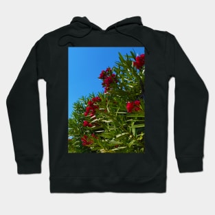 Red Mediterranean Flowers Hoodie